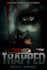 do book cover design and ebook cover design