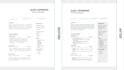 create an ats friendly professional resume or CV