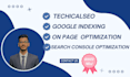 do technical SEO audit and website optimization