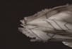 do 3d cloth simulation 3d fashion design 3d cgi animation vfx animation cgi ads