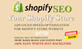 do optimize your store with shopify