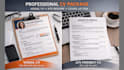 create professional cv desing, cv ats and cover letter