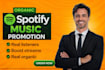 do spotify music promotion album promotion