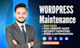 do wordpress maintenance, updates, security, backups and troubleshooting