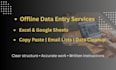 do accurate offline data entry and excel tasks