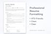 professionally optimize your CV and resume