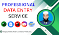 do accurate data entry and excel data formatting