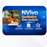 analyze qualitative data using nvivo with coding and themes