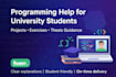 assist with university programming projects and exercises