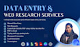 provide accurate and efficient data entry services