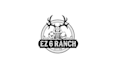 design exceptional dynamic logo for texas ranch with dice