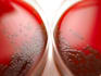 write biology and microbiology educational content