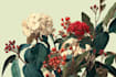 create your ideal botanical illustration