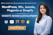 build or fix a professional wordpress website