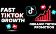 optimize your tiktok account for real followers