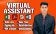 do data entry, copy paste, data collection, web scraping, typing, pdf to excel