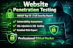 website penetration testing using owasp top 10