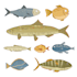 draw cute educational illustrations