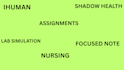 do ihuman, shadow health, focused note, lab simulations