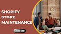 provide professional shopify maintenance and support