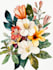 illustrate best botanical illustration