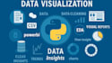 clean, analyze, and visualize data using python