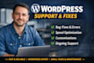 expertly fix, customize and support your wordpress website