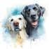 watercolor draw watercolor pet portrait