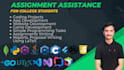 do coding projects, assignment, tasks, app development in cpp, python, java