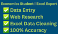 do economic and financial data entry in excel