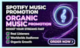 do professional spotify music promotion