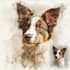 draw watercolor pet portrait