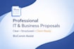 write professional IT and business proposals