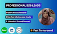 manually researched b2b leads with  verified emails