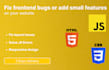 fix frontend bugs or add small features on your website