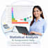 do statistical projects and analysis