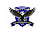create attractive and imagination eagle logo design