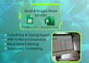 provide fast and professional data entry services