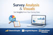 analyze survey data and visualize the results professionally
