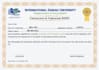 design professional certificate for training institute