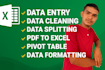 excel data entry, excel data cleaning and, data cleanup