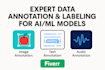 expert data annotation labeling for ai and ml models