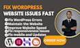 set up and repair your wordpress website
