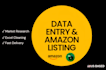 do professional data entry and product listing for ebay or amazon