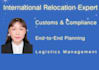 provide expert international relocation and mobility consulting