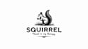design awesome squirrel logo with express delivery