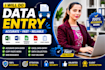 do excel data entry, copy paste, and website data entry