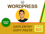 do wordpress data entry, blog posting and content upload