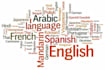 do manual translation between english and multiple languages