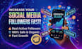 increase your social media followers organically and safely